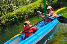 Extreme Adventures: Kayak and canopy in Colon Private tour