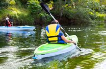 Extreme Adventures: Kayak and canopy in Colon Private tour