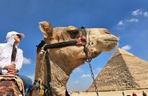 VIP All Inclusive Giza Pyramids Tour with Camel Ride and Lunch