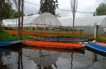Xochimilco, Coyoacán & Ciudad Universitaria Tour