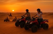  Red Desert Safari Dubai ATV Camel ride Sand Board & BBQ Dinner