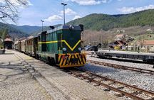 From Belgrade: Shargan Eight Train and Tara National Park