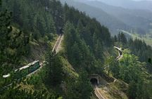 From Belgrade: Shargan Eight Train and Tara National Park