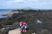 Volcanoes, Coasts, and Secret Spots Afternoon Tour in Auckland
