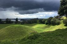 Half-Day Volcano Tour from Auckland