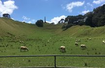 Half-Day Volcano Tour from Auckland