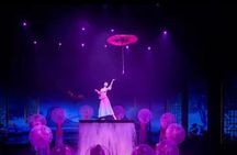 Foshan Tour Of Romance of the Song Dynasty-Culture Spectacle show