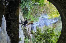 Tijuca Forest Hiking tour - Rio de Janeiro by Rio Eco Trip