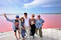 Guided Tour Of Las Coloradas, Rio Lagartos And See Crocodiles