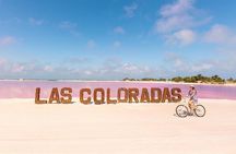 Guided Tour Of Las Coloradas, Rio Lagartos And See Crocodiles