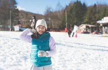 Mt. Fuji View with Fujiten Snow Fun & Oishi Park Tour from Tokyo