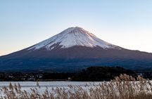 Mt. Fuji View with Fujiten Snow Fun & Oishi Park Tour from Tokyo