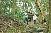 Nagasaki Hidden Christian Heritage Guided Tour