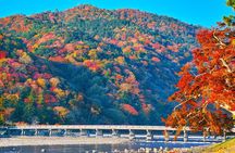 Kyoto Arashiyama Bamboo Walk & Relaxing Flower Foot Bath Massage