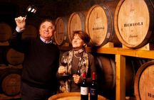 Winery Tour & Tasting near Lake Trasimeno & Perugia