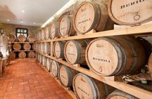 Winery Tour & Tasting near Lake Trasimeno & Perugia