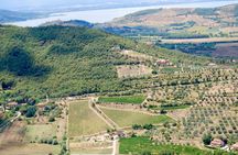 Winery Tour & Tasting near Lake Trasimeno & Perugia