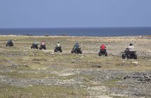 Northern Trail ATV Adventure in Barbados
