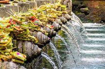 Bali: Ubud Rice terrace, water temple, and waterfall Tour