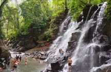 Bali: Ubud Rice terrace, water temple, and waterfall Tour