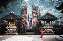 Bali: Ubud Rice terrace, water temple, and waterfall Tour