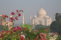 From Delhi : Taj mahal and Agra day Tour by Car