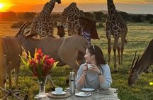  2 Day Safari Serval Wildlife Sanctuary & Tarangire National Park