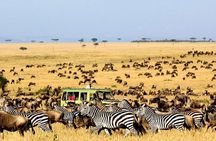  2 Day Safari Serval Wildlife Sanctuary & Tarangire National Park