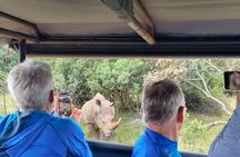 Schotia Tooth & Claw Safari (Open 4x4 Safari Vehicle)