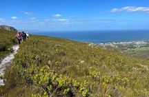 Hermanus Guided Nature Excursions