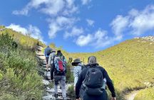 Hermanus Guided Nature Excursions