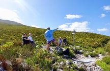 Hermanus Guided Nature Excursions