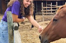 Family-Friendly Tuscany Tour for Wine Lovers and Non-Drinkers