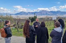Naples: Mount Vesuvius Wine Tasting and Lunch Experience