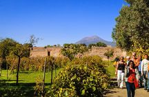 Naples: Mount Vesuvius Wine Tasting and Lunch Experience