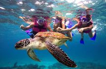 Snorkel, Swim & Snap-w/ Video