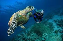 Snorkel, Swim & Snap-w/ Video