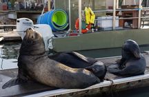 Cabo San Lucas Snorkel Adventure with Photos Included