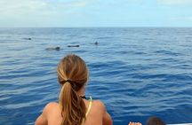 Respectful Whale Watching on a Wooden Boat and Swim