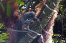 3 Days 2 Nights Ethical Jungle Trekking