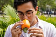 Fruit Tasting Experience with +15 Exotics Flavors of Ecuador