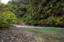 3 Days 2 Nights Ethical Jungle Trekking