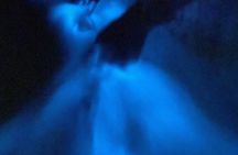 Bioluminiscense Night Tour
