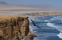 Paracas NationaL Reserve Journey - Scenic Stops at Your own pace