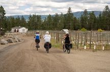 Kelowna Guided E-Bike Wine Tour with Tastings and Okanagan Lunch