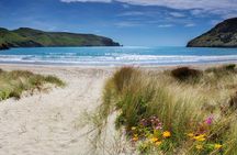 Akaroa Self Guided Electric Scooter Tour
