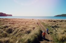 Akaroa Self Guided Electric Scooter Tour