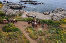Papudo Tour with Horseback Riding and Penguins