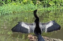 Canoe experience and Night adventure in Tortuguero 