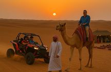 Evening Desert Safari with BBQ Dinner